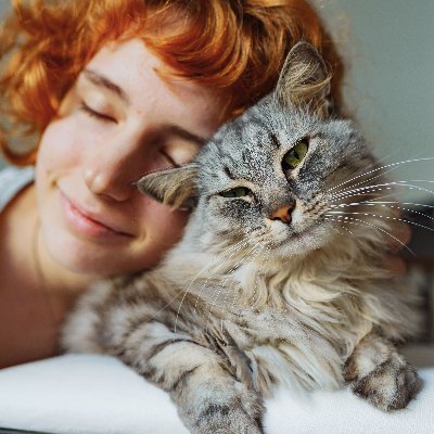 How to Choose the Perfect Cat for Your Lifestyle image